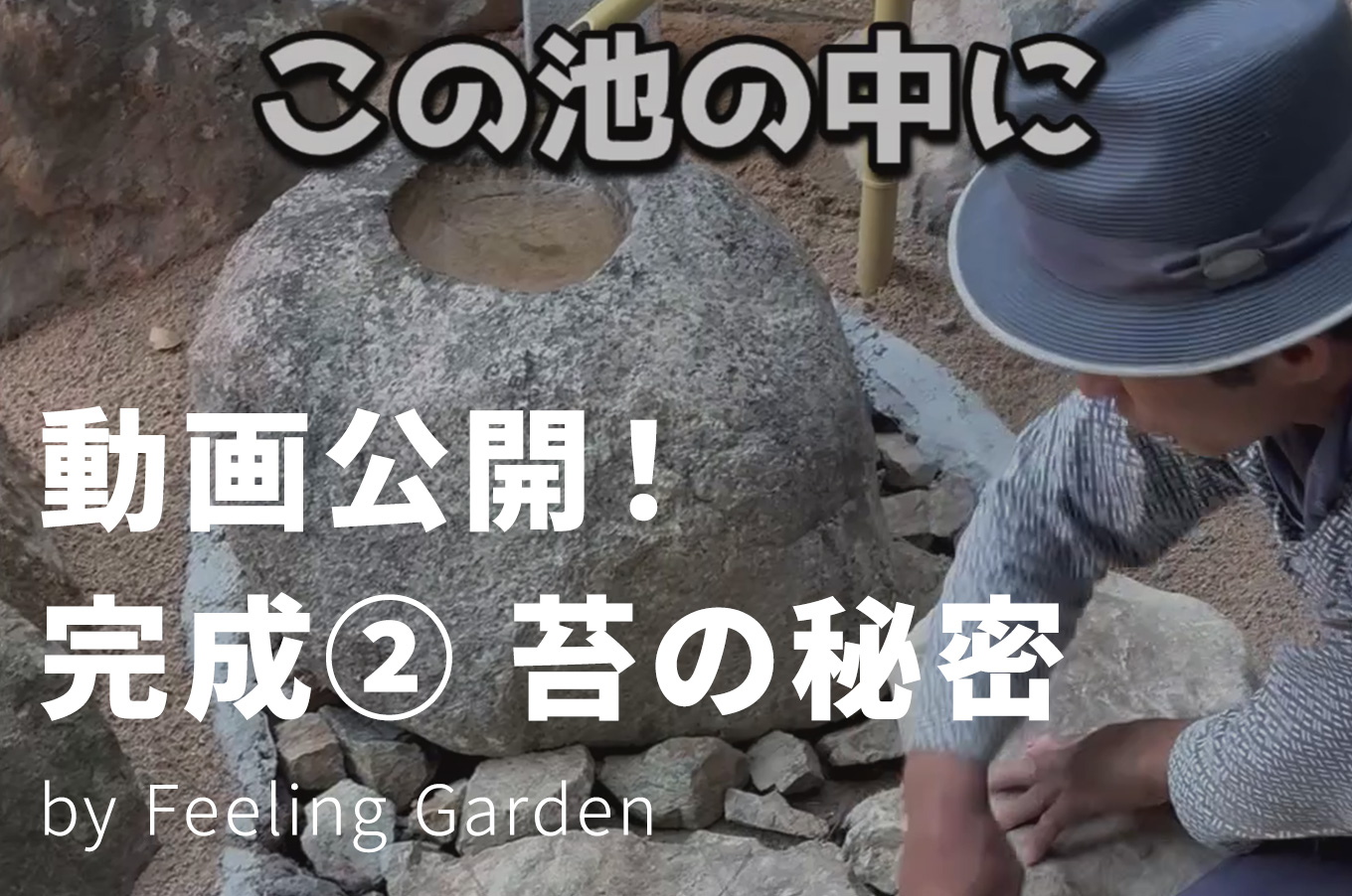 外構工事 フィーリングガーデンの新着情報